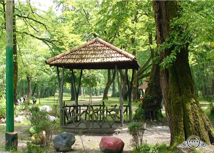 پارک جنگلی میرزاکوچک خان