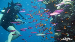 ورزش های دریایی