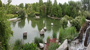 باغ گلها