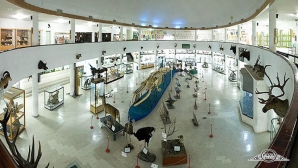 موزه تاریخ طبیعی و تکنولوژی