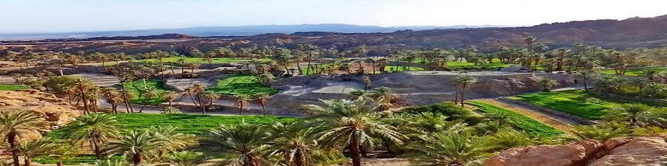 شهر طبس