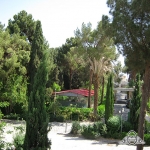 پارسيان یزد