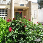 پارسيان یزد