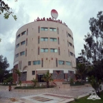 فلامینگو 