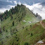 آرام ماسوله