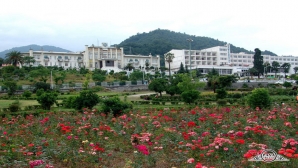 پارسیان آزادی  رامسر